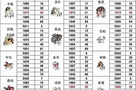 1971五行属什么|1971年出生属什么生肖 1971年属猪是什么命